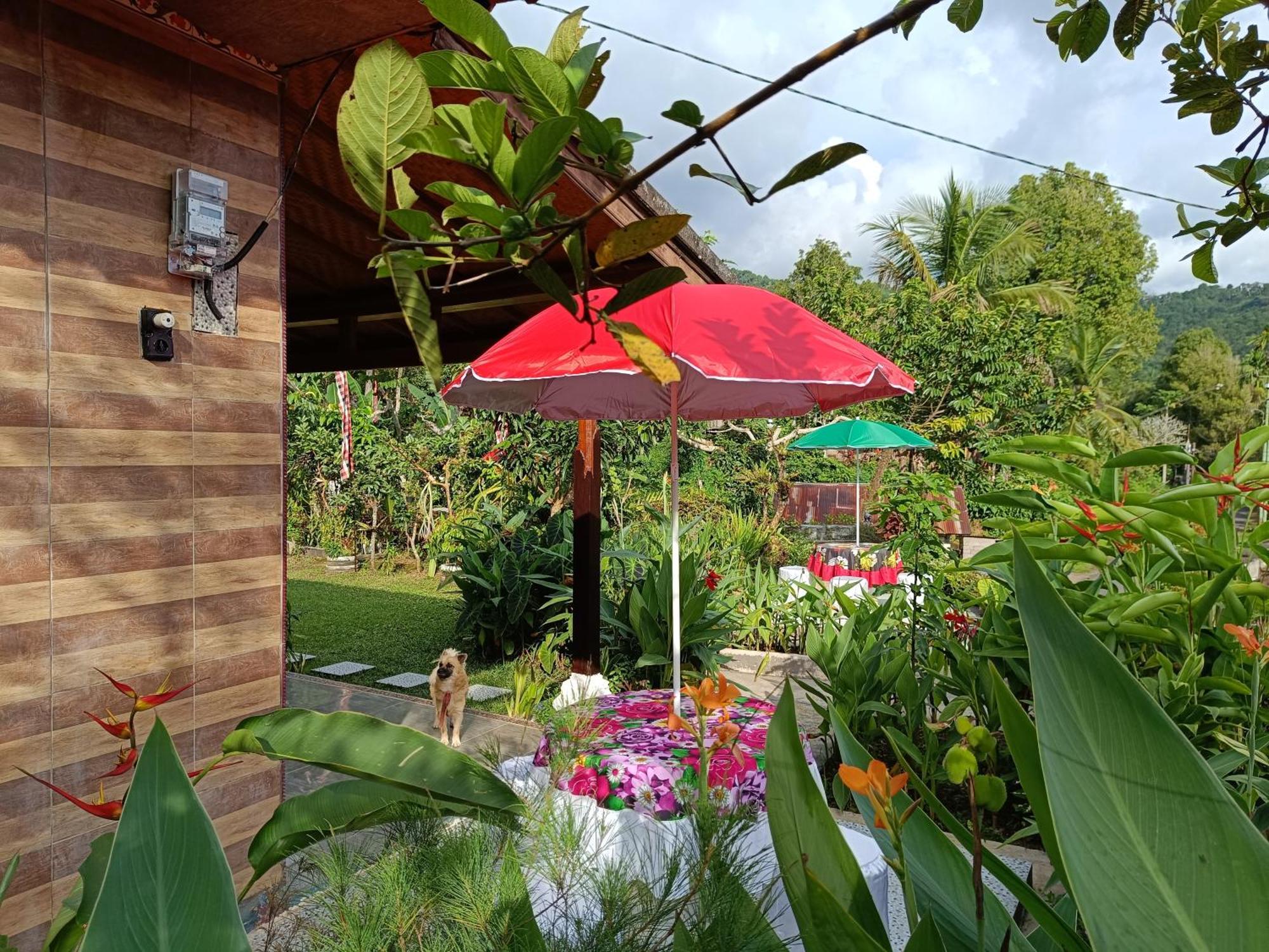 Gosela Homestay Munduk Exterior foto